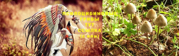 спиды Алексин