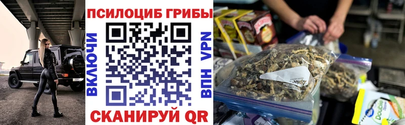 наркота  Минусинск  darknet как зайти  Галлюциногенные грибы MAGIC MUSHROOMS 